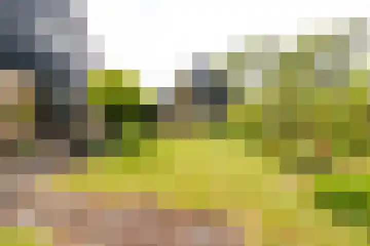 Kwadijk 119 Kwadijk thumbnail 47