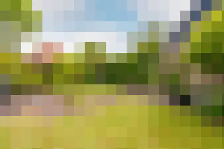 Kwadijk 119 Kwadijk thumbnail 48