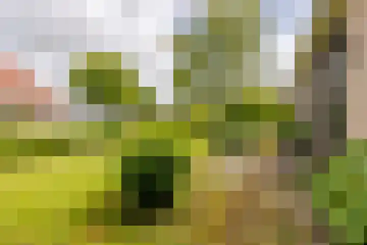 Kwadijk 119 Kwadijk thumbnail 49