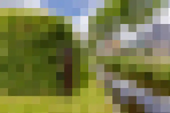 Kwadijk 119 Kwadijk thumbnail 50