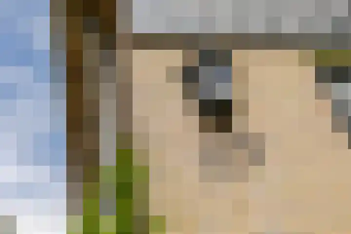 Kwadijk 119 Kwadijk thumbnail 53