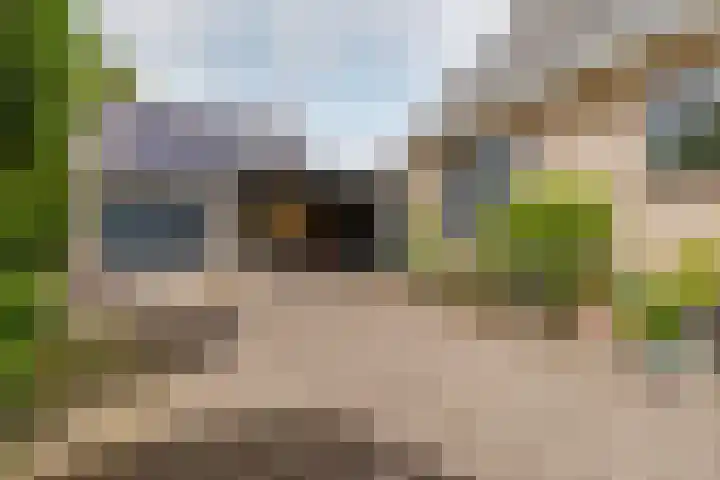 Kwadijk 119 Kwadijk thumbnail 54