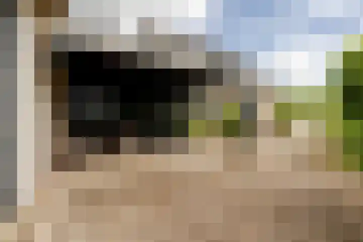 Kwadijk 119 Kwadijk thumbnail 55