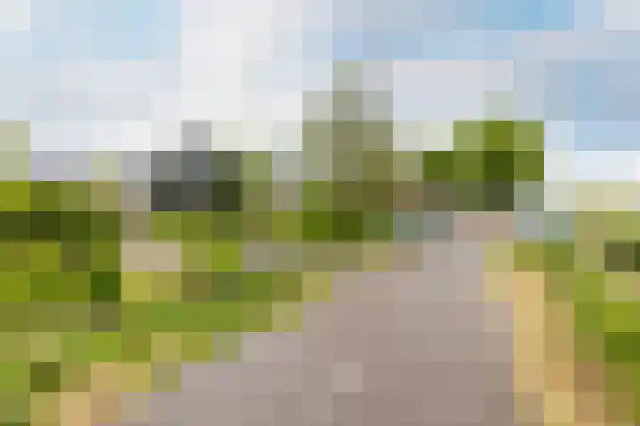 Kwadijk 119 Kwadijk thumbnail 61