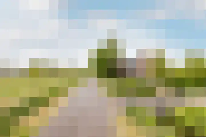 Kwadijk 119 Kwadijk thumbnail 63