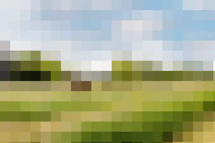Kwadijk 119 Kwadijk thumbnail 64
