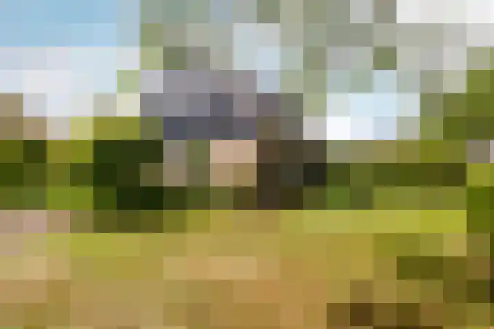 Kwadijk 119 Kwadijk thumbnail 8