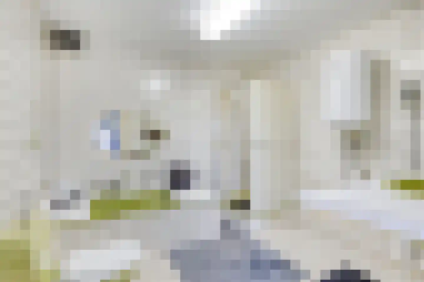 Kwadijk 132 Kwadijk thumbnail 14