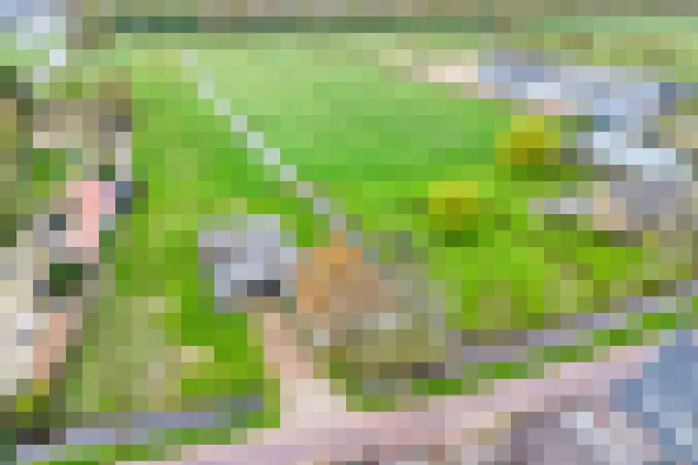 Kwadijk 132 Kwadijk thumbnail 21