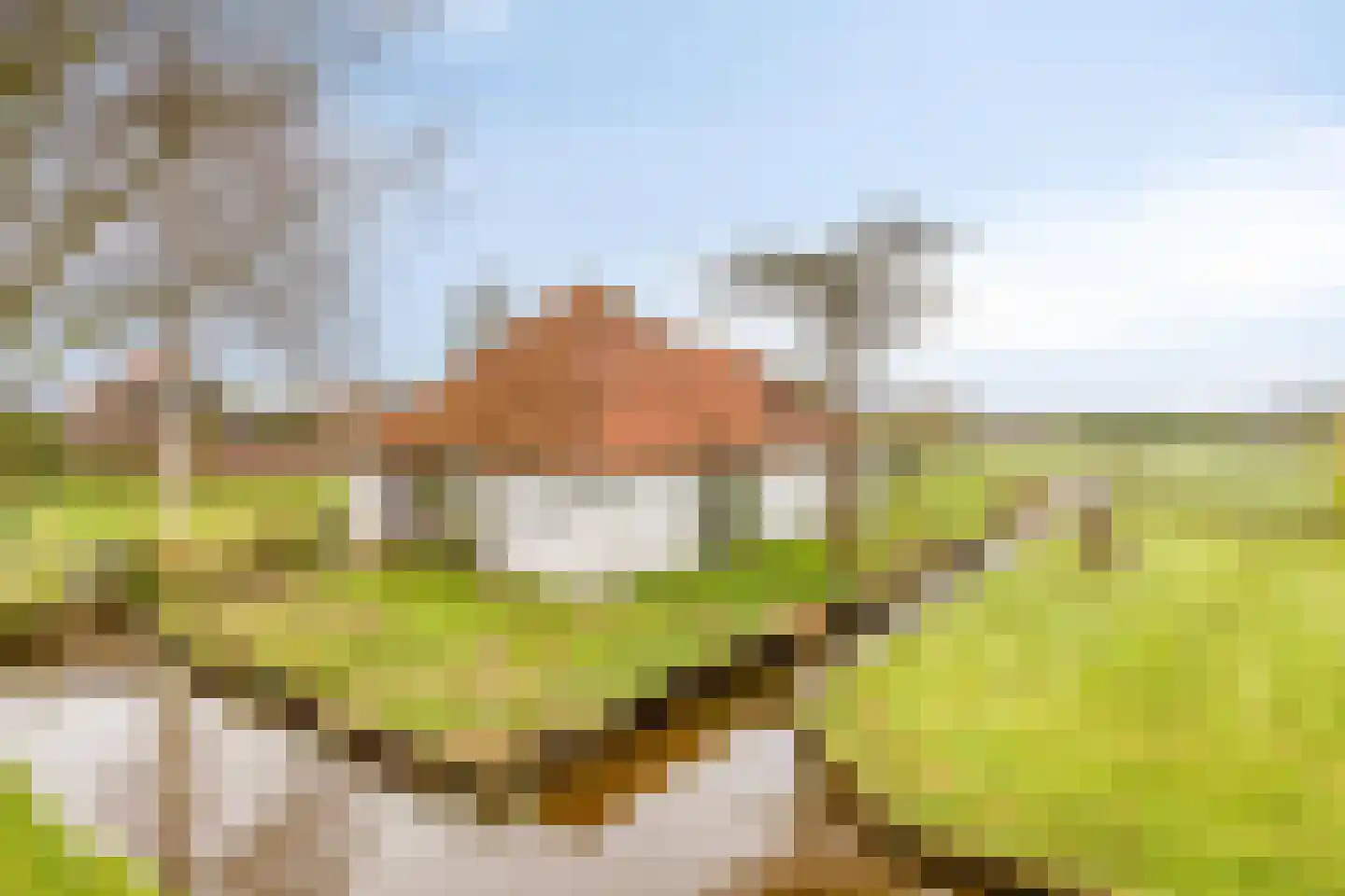 Kwadijk 132 Kwadijk thumbnail 22