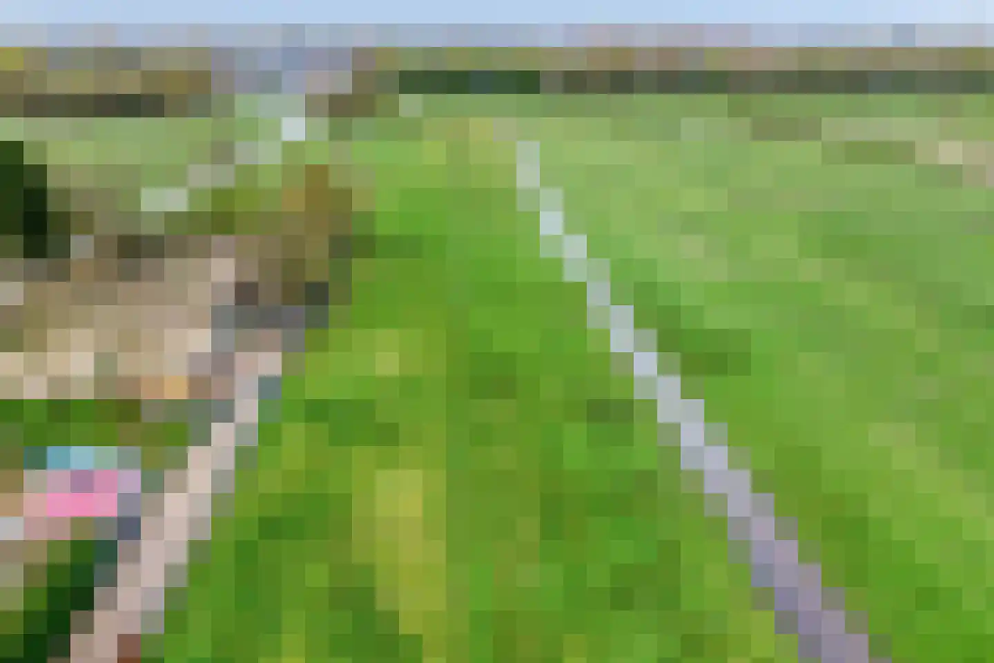 Kwadijk 132 Kwadijk thumbnail 25