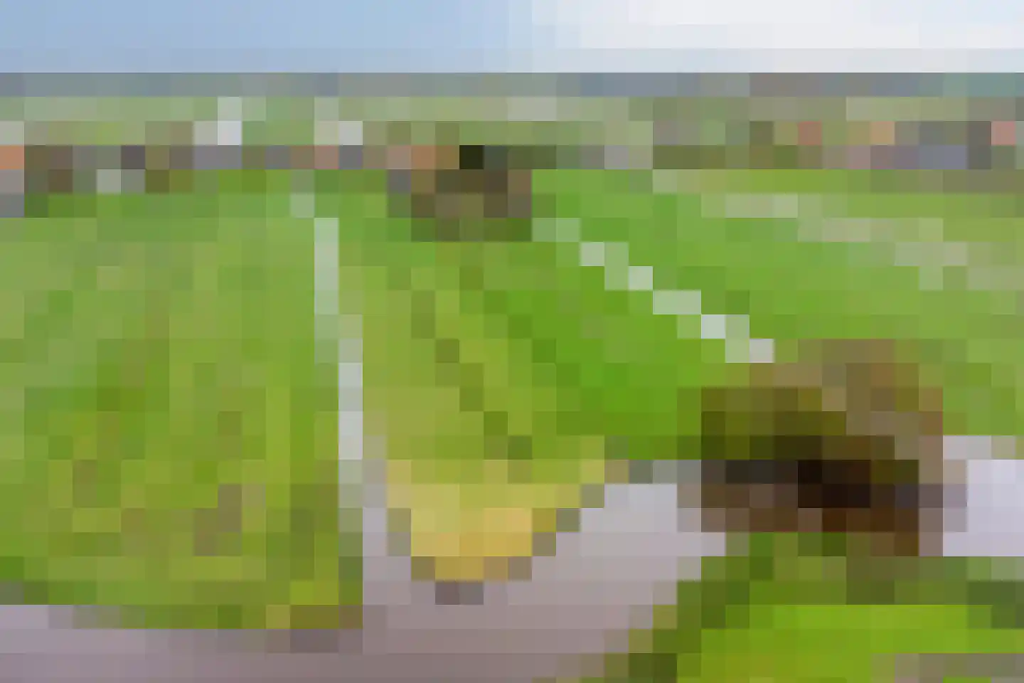 Kwadijk 132 Kwadijk thumbnail 26
