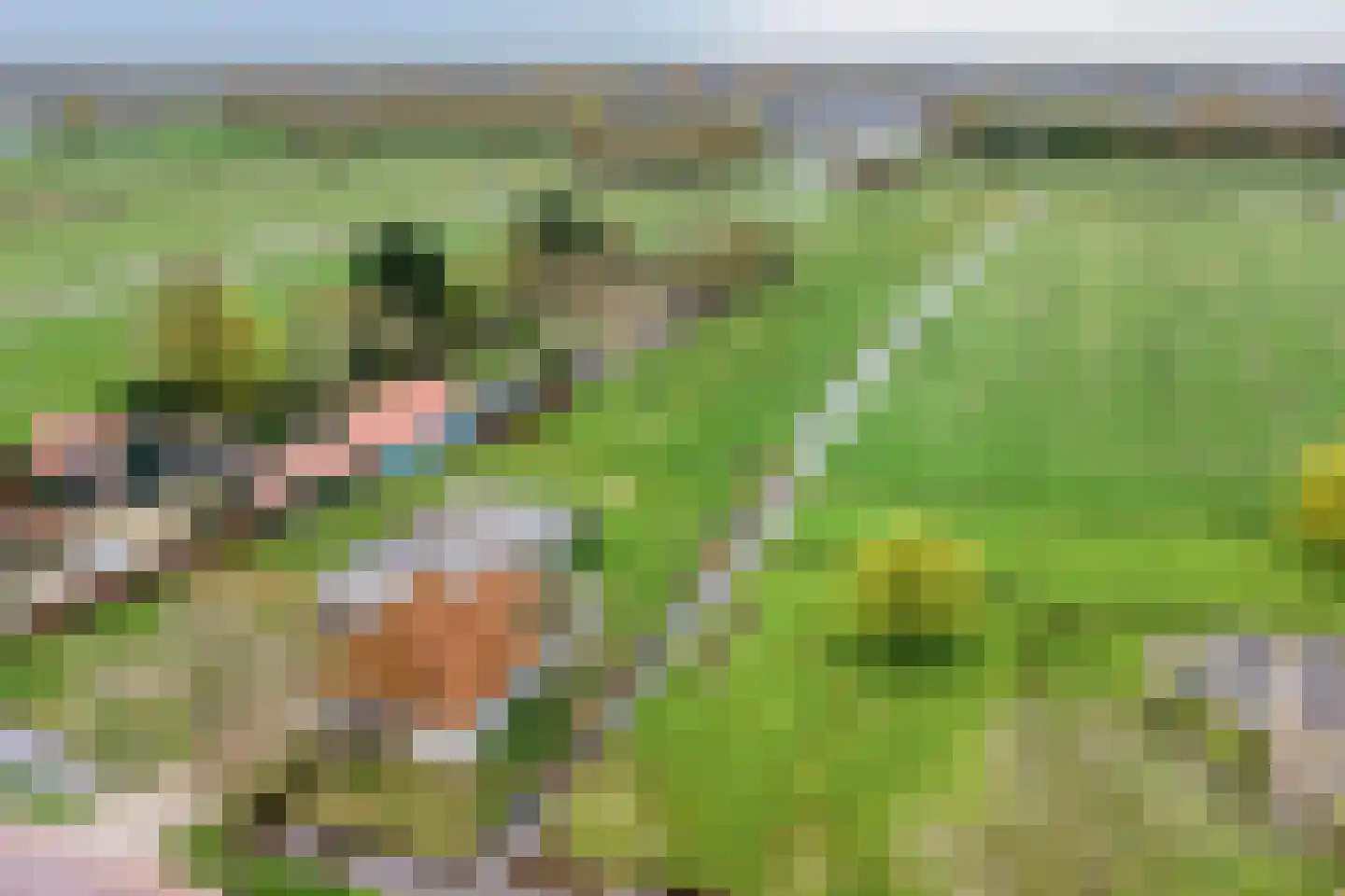Kwadijk 132 Kwadijk thumbnail 6