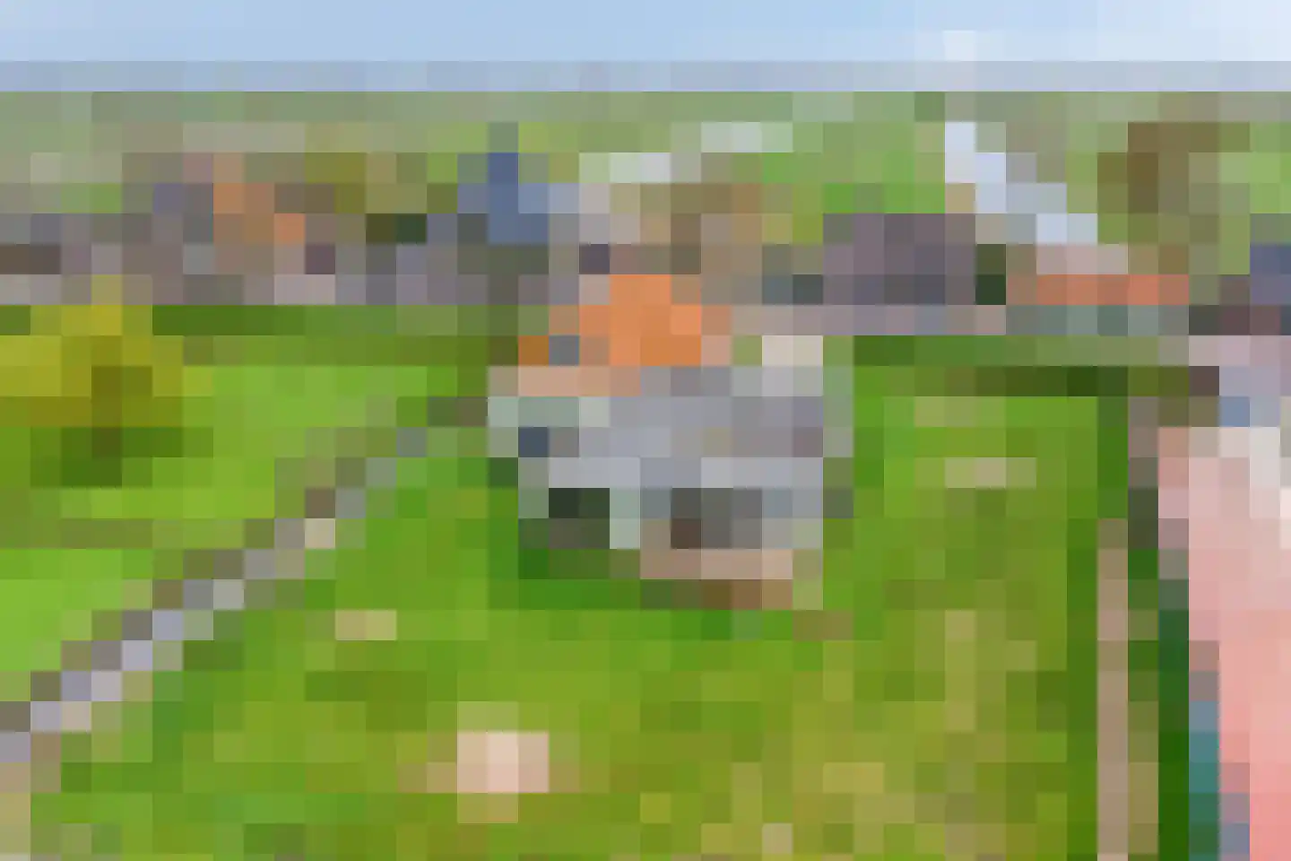 Kwadijk 132 Kwadijk thumbnail 7