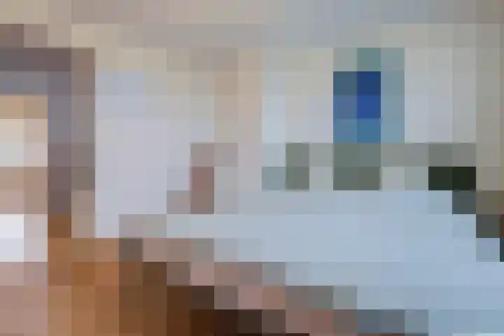 Kwadijk 156 Kwadijk thumbnail 21