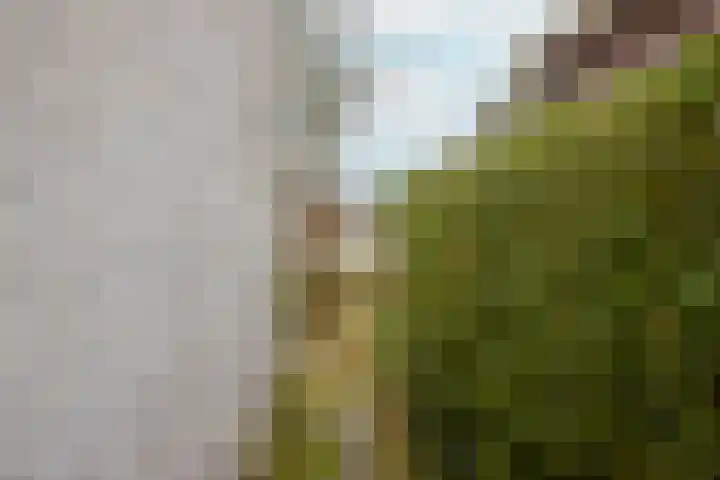 Kwadijk 156 Kwadijk thumbnail 37