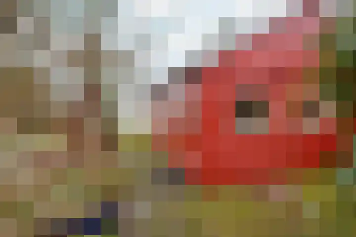 Kwadijk 156 Kwadijk thumbnail 38