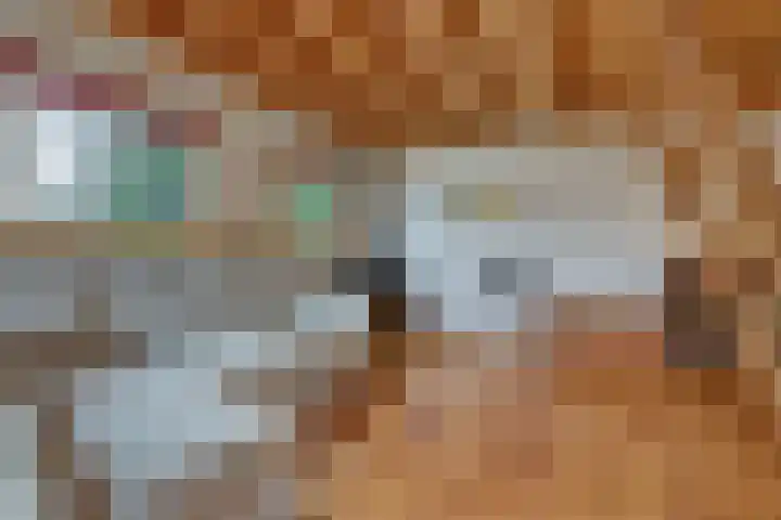 Kwadijk 156 Kwadijk thumbnail 45