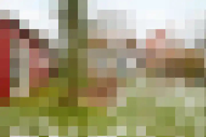 Kwadijk 156 Kwadijk thumbnail 55