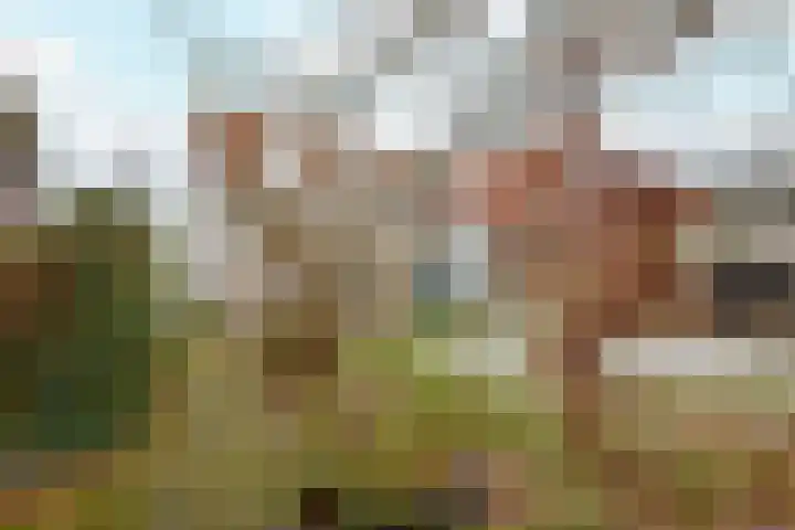 Kwadijk 156 Kwadijk thumbnail 59