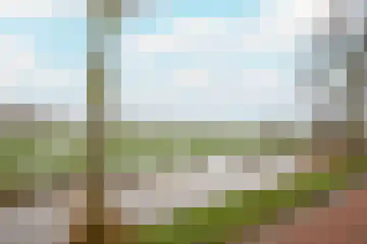 Kwadijk 156 Kwadijk thumbnail 6