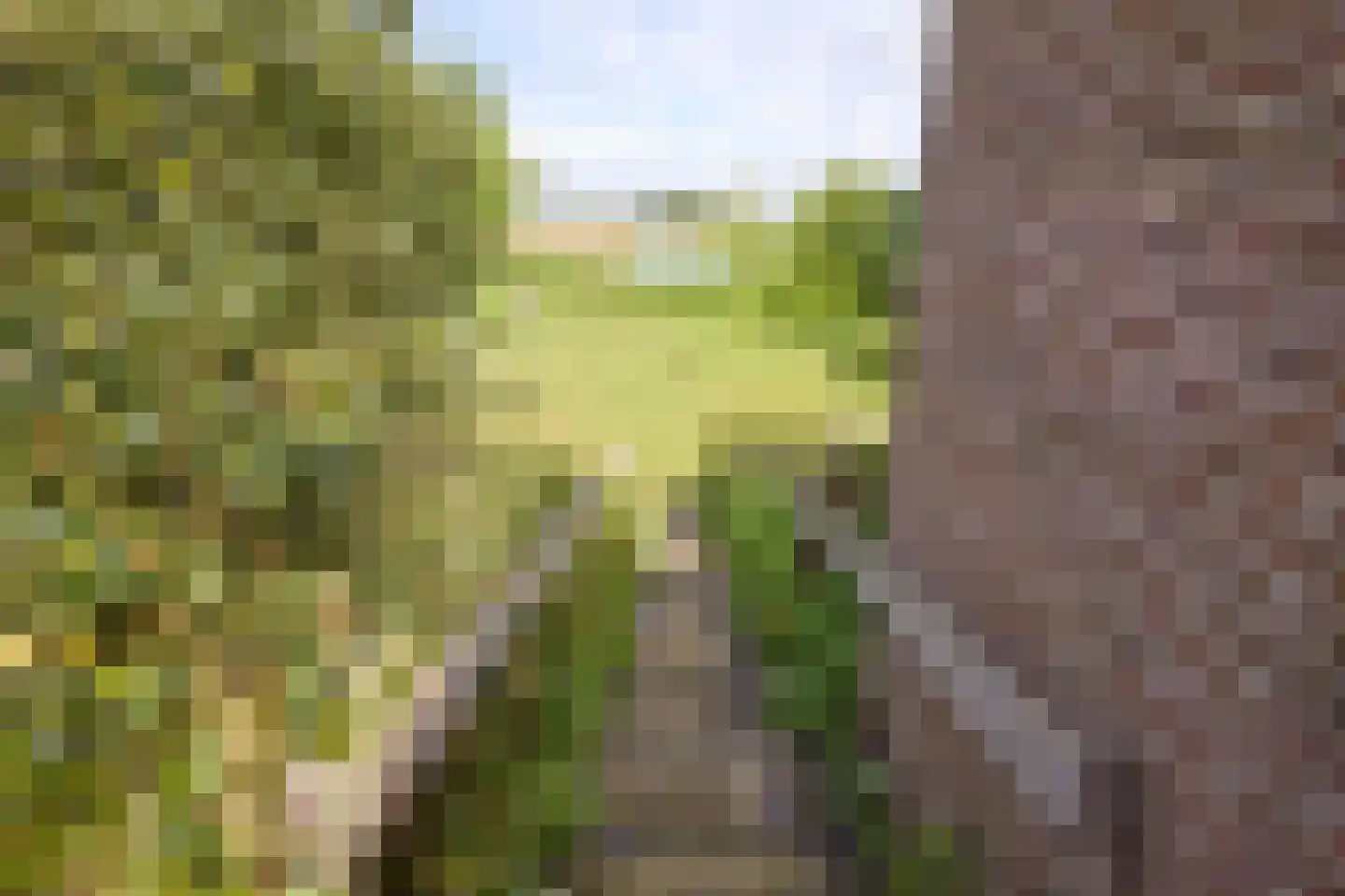 Kwadijk 160 a Kwadijk thumbnail 50