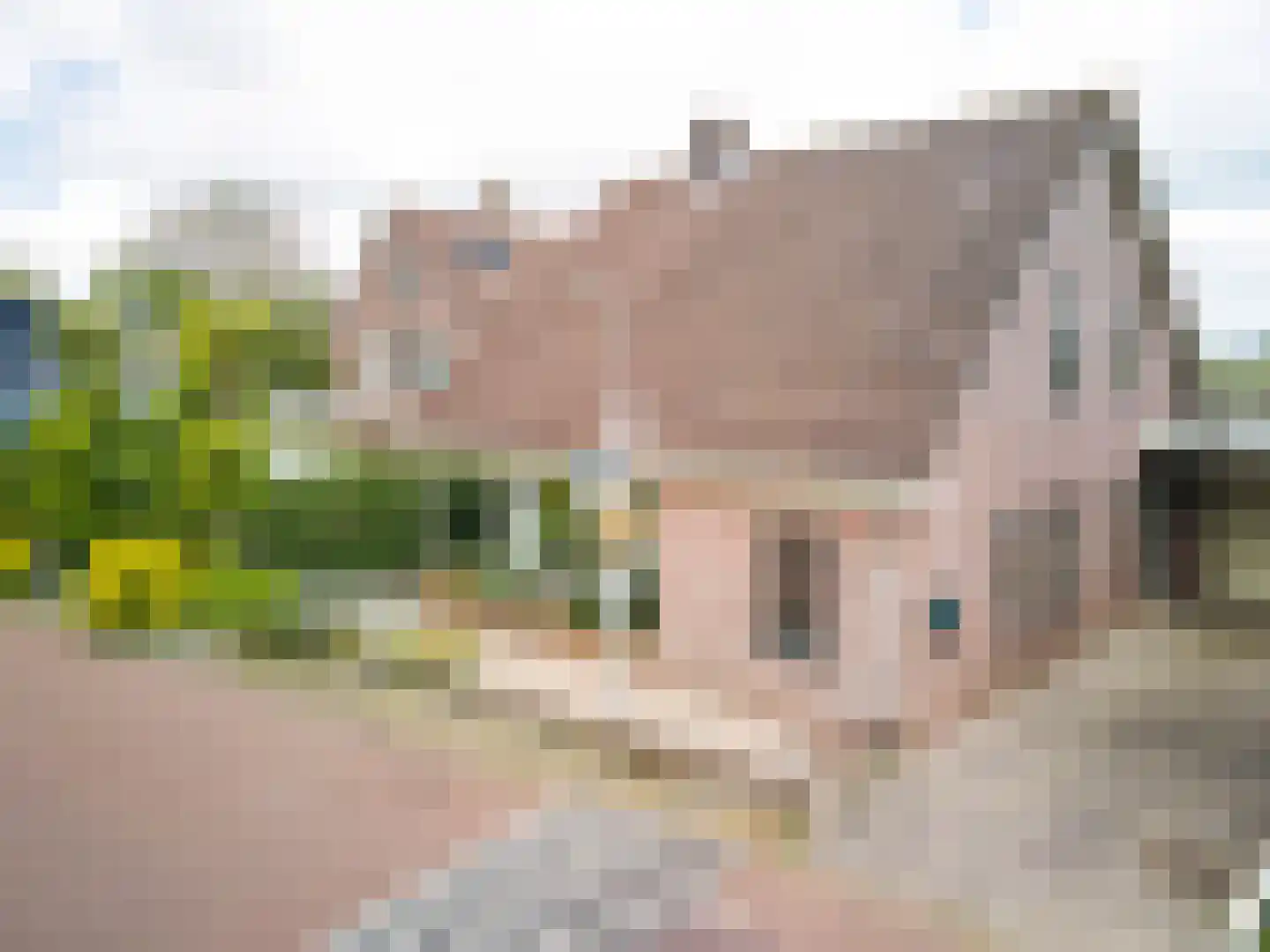 Kwadijk 160 a Kwadijk thumbnail 6