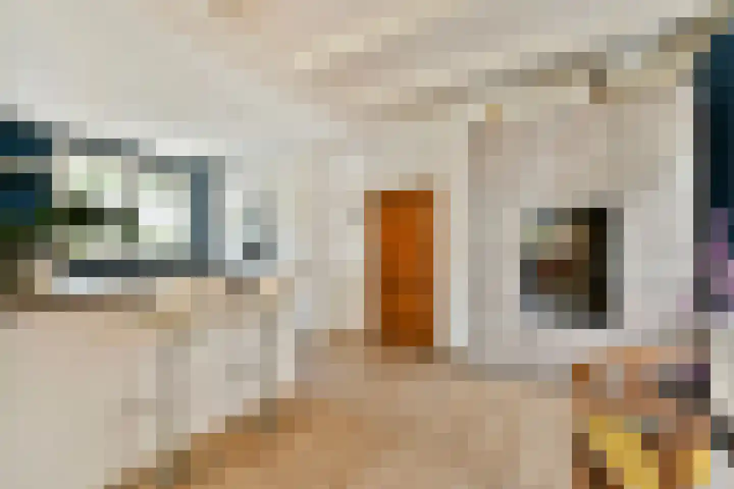 Kwadijk 28 Kwadijk thumbnail 12