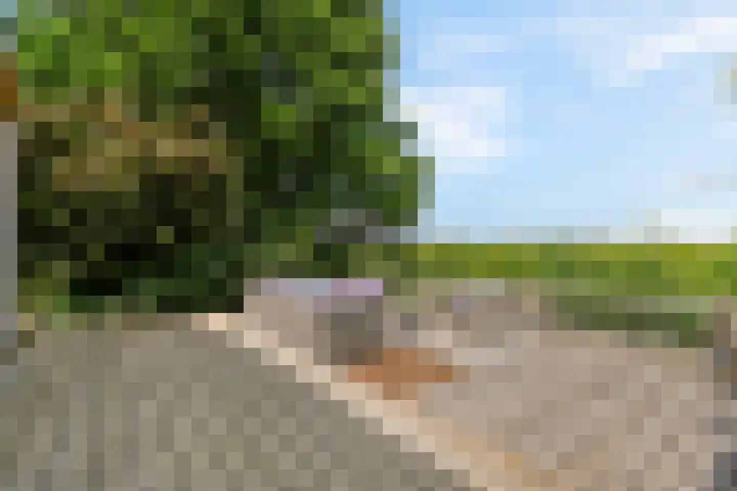 Kwadijk 28 Kwadijk thumbnail 19