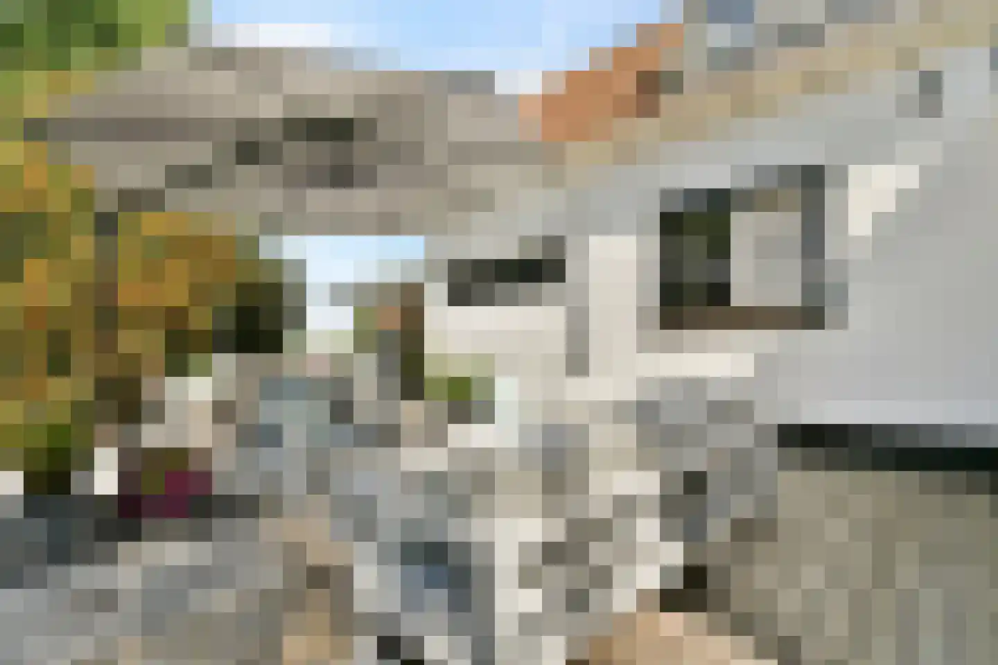 Kwadijk 28 Kwadijk thumbnail 23