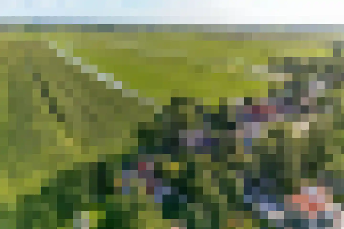 Kwadijk 28 Kwadijk thumbnail 50