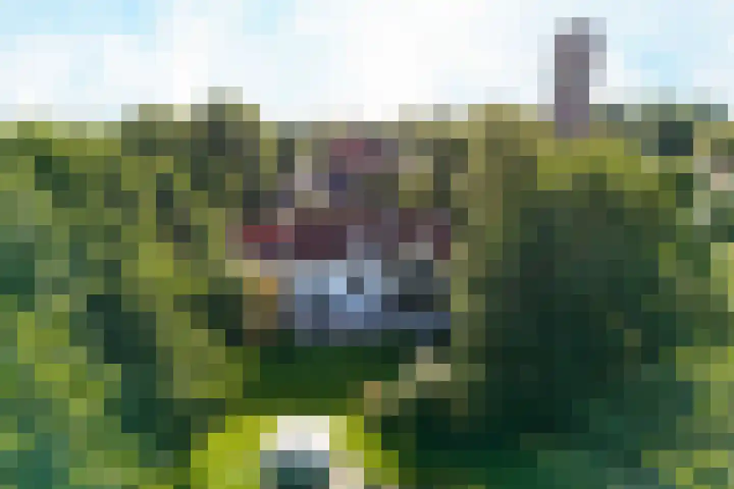 Kwadijk 28 Kwadijk thumbnail 51