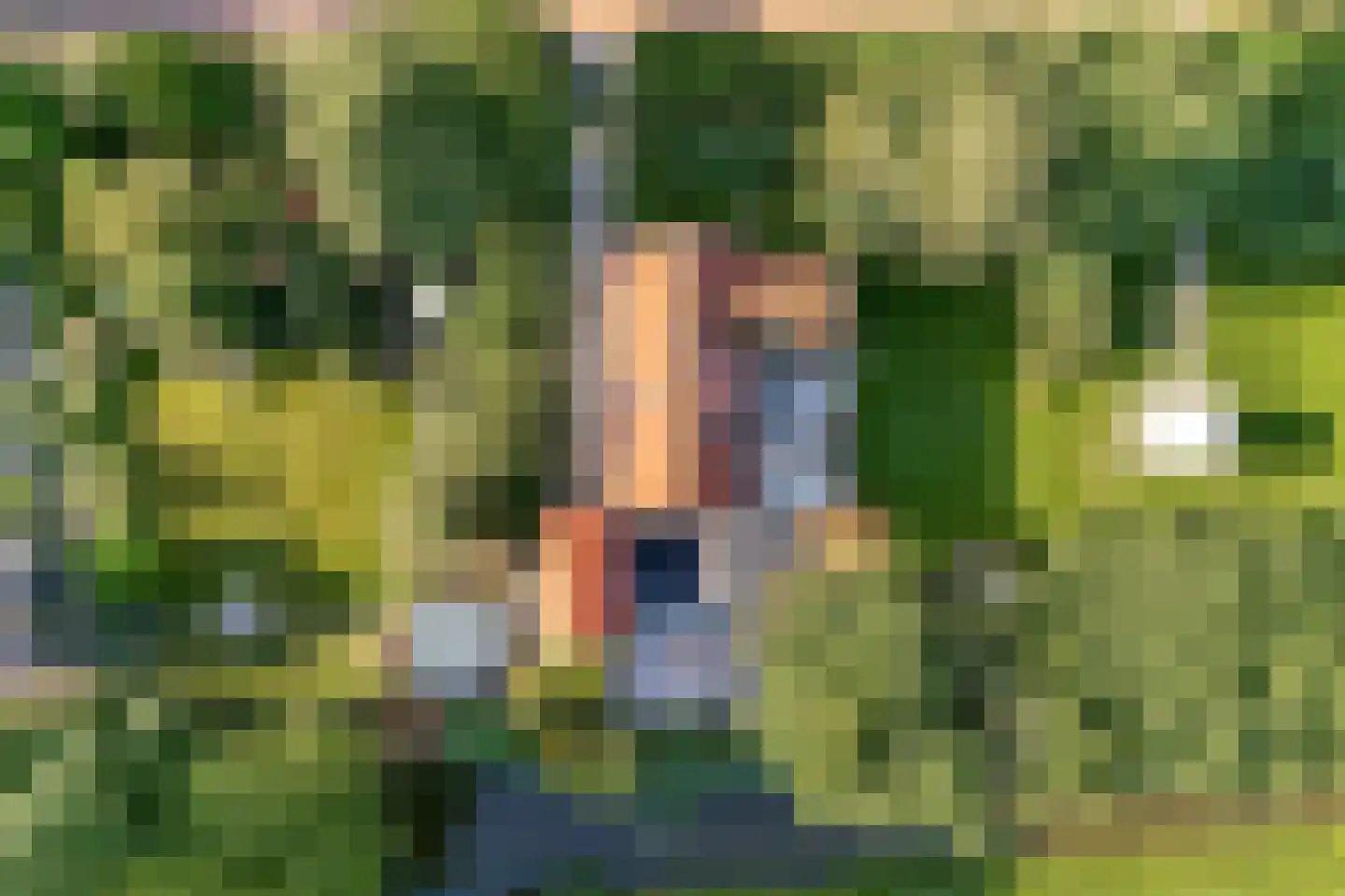Kwadijk 28 Kwadijk thumbnail 52