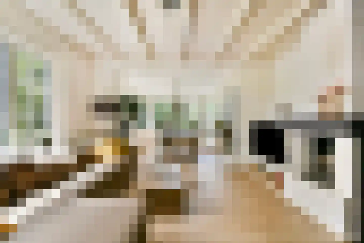 Kwadijk 28 Kwadijk thumbnail 9