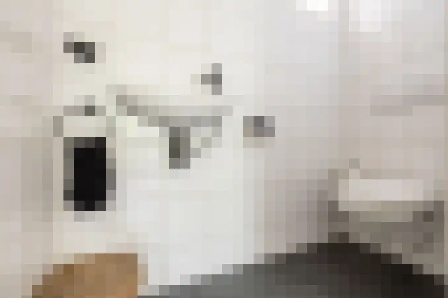 Kwadijk 41 Kwadijk thumbnail 26