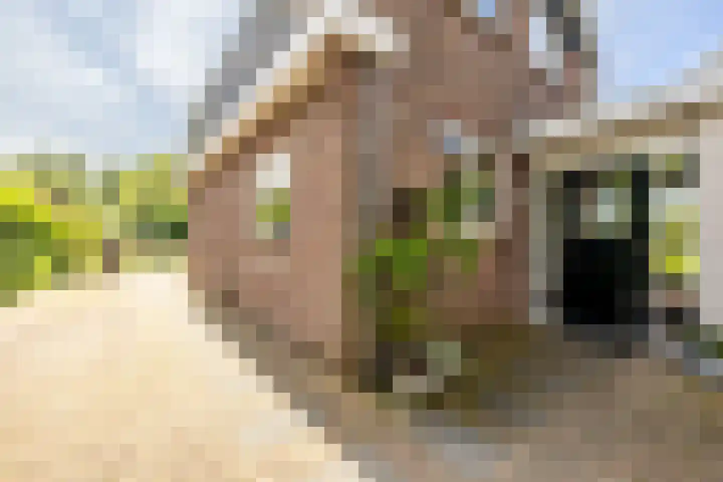 Kwadijk 41 Kwadijk thumbnail 43