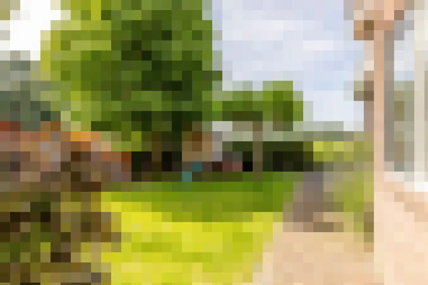 Kwadijk 41 Kwadijk thumbnail 44