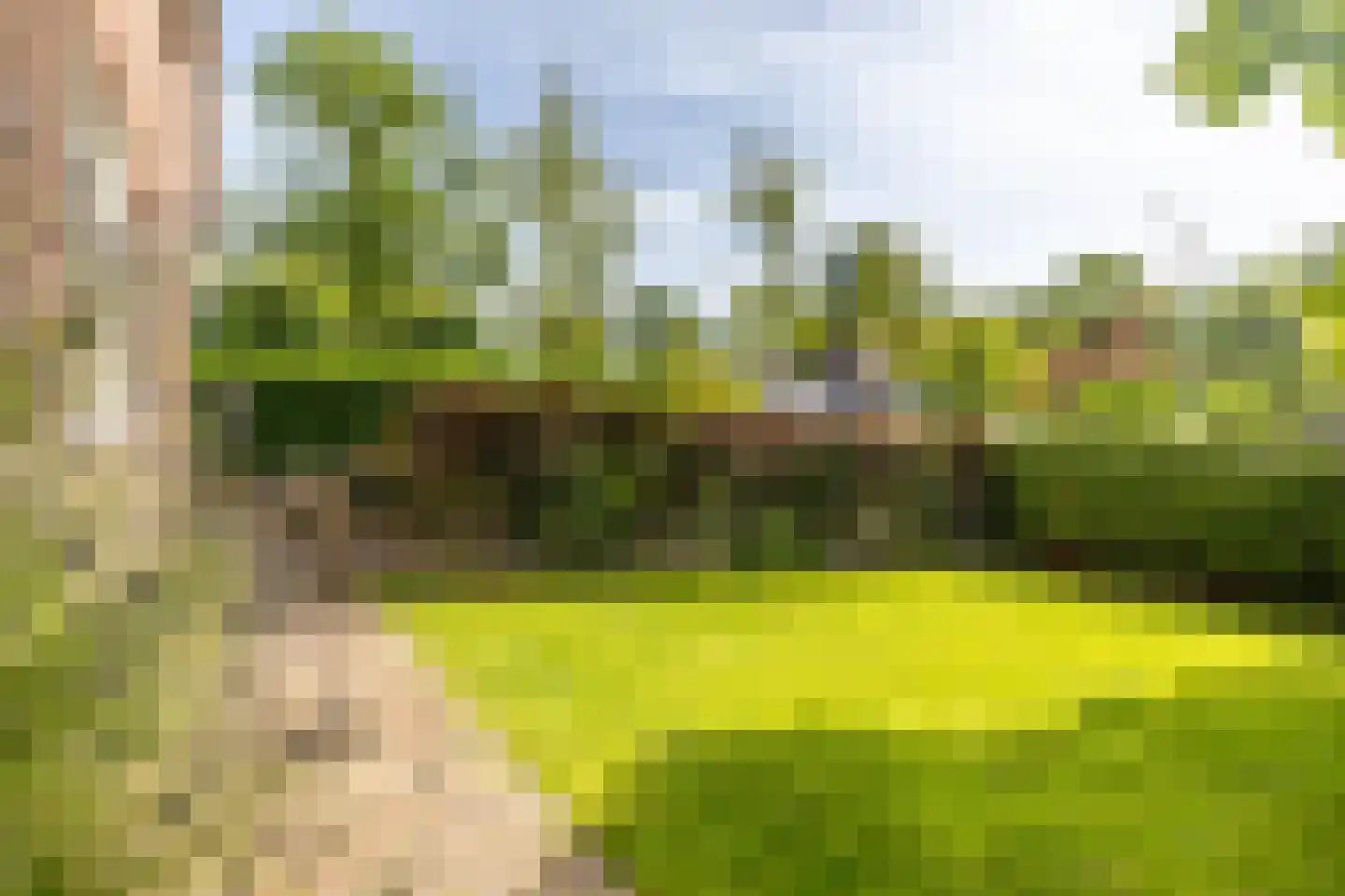 Kwadijk 41 Kwadijk thumbnail 45