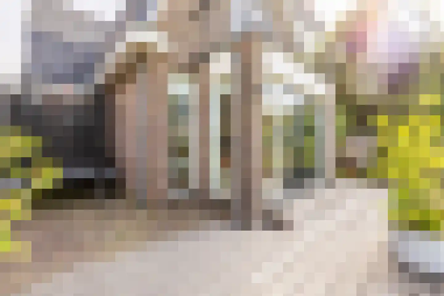 Kwadijk 41 Kwadijk thumbnail 49