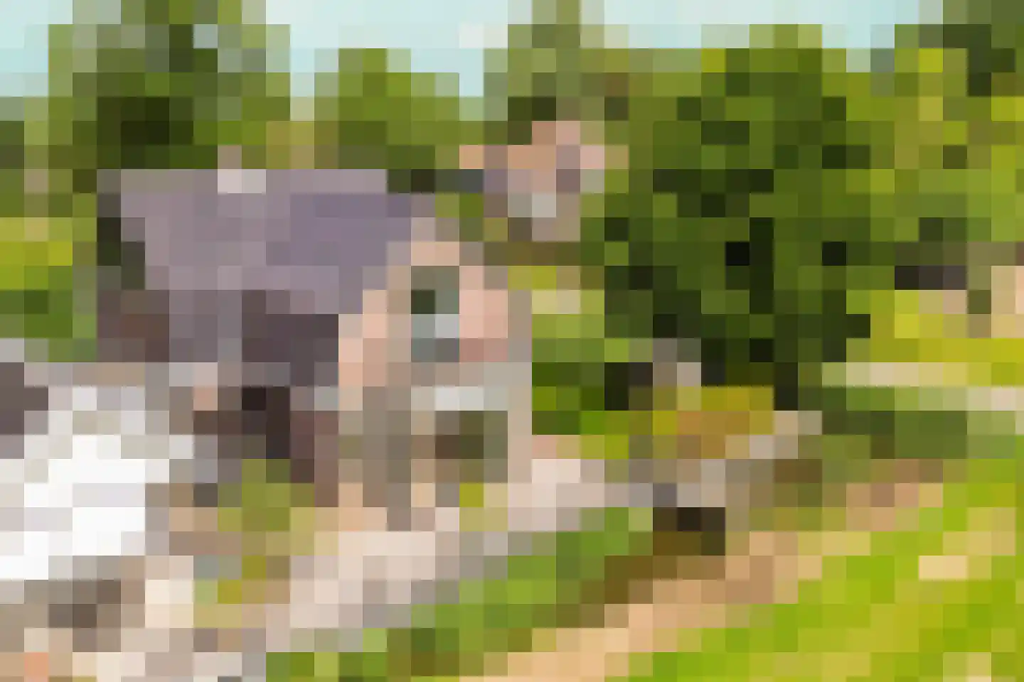 Kwadijk 41 Kwadijk thumbnail 5