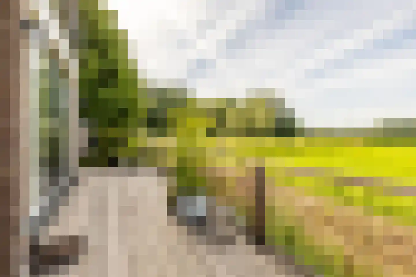 Kwadijk 41 Kwadijk thumbnail 50