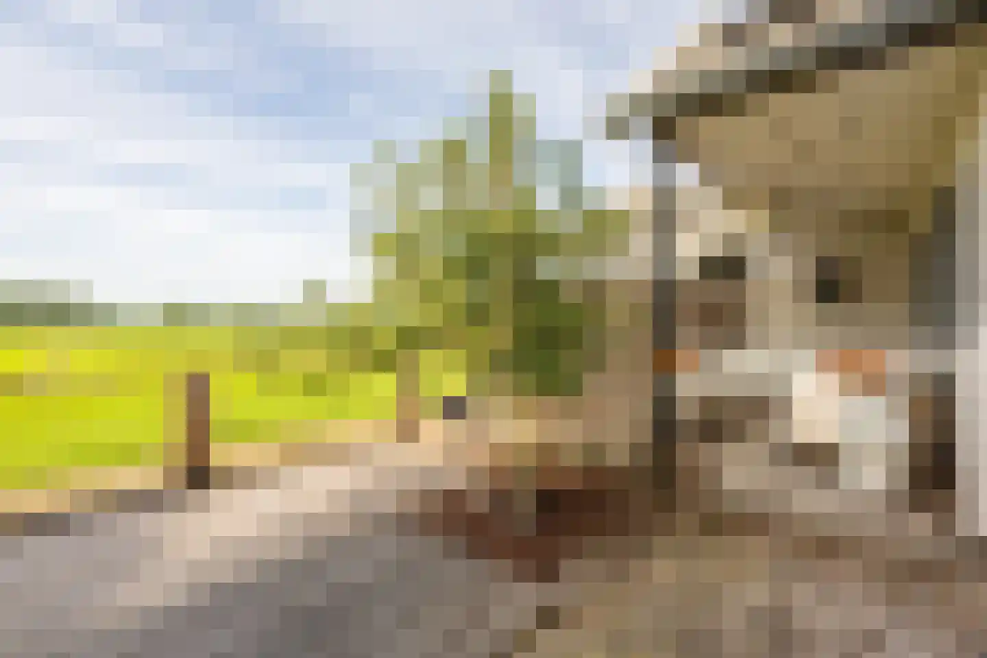 Kwadijk 41 Kwadijk thumbnail 51