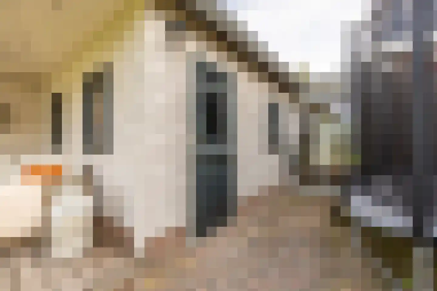 Kwadijk 41 Kwadijk thumbnail 52