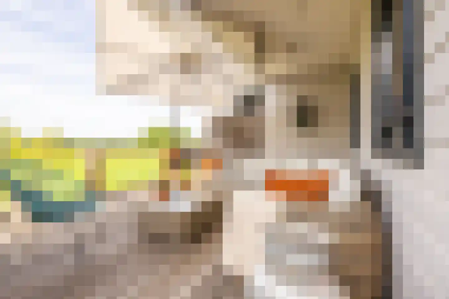 Kwadijk 41 Kwadijk thumbnail 53