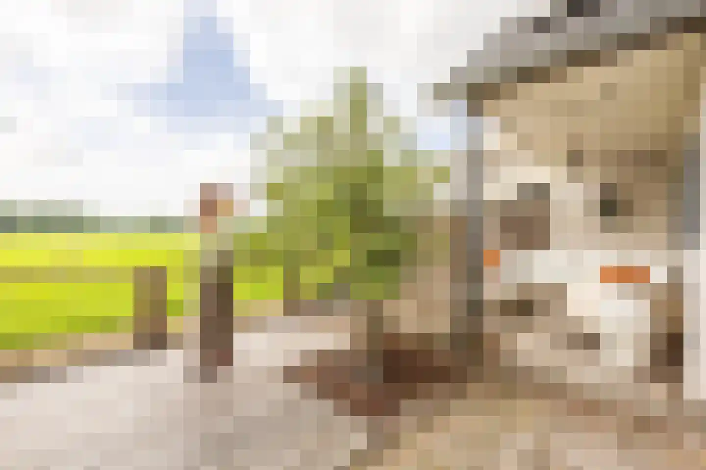 Kwadijk 41 Kwadijk thumbnail 54