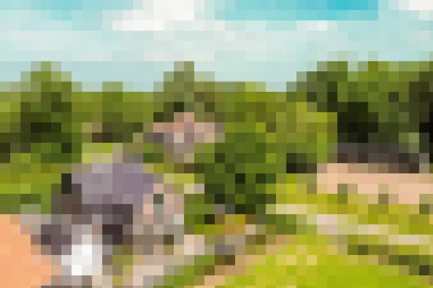 Kwadijk 41 Kwadijk thumbnail 60