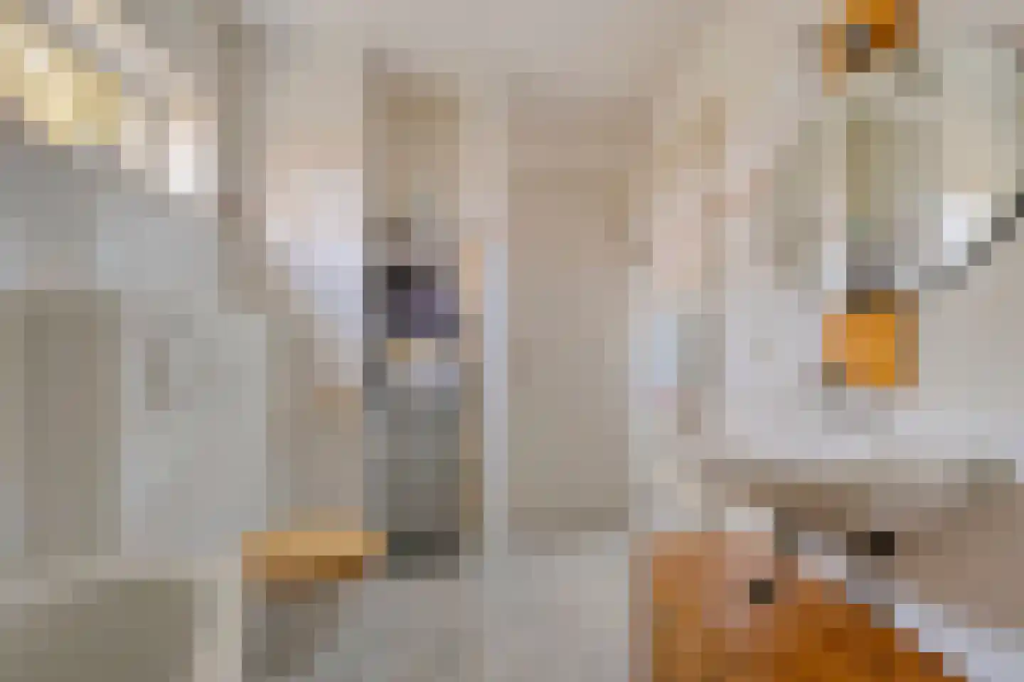 Kwadijk 45 Kwadijk thumbnail 45