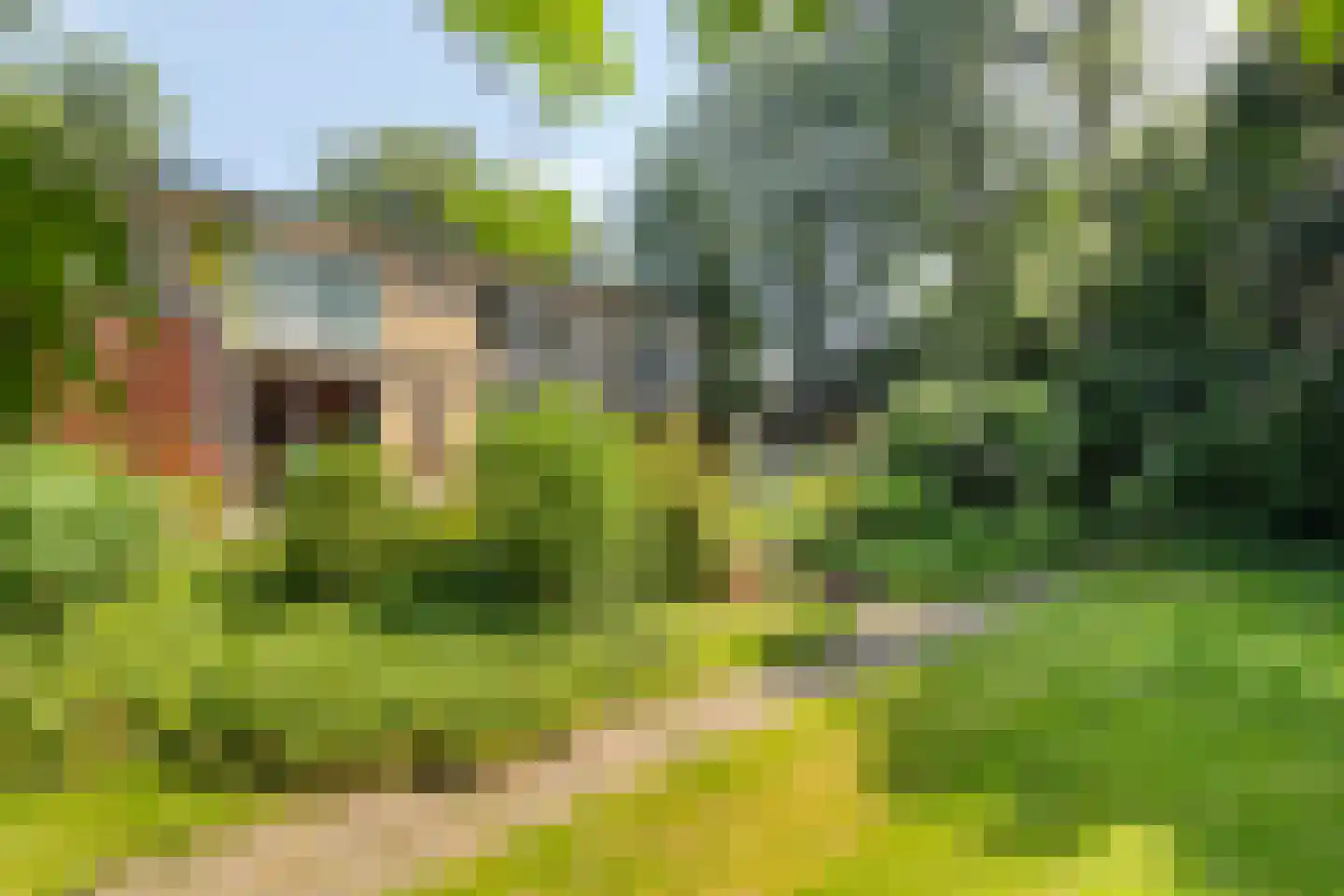 Kwadijk 45 Kwadijk thumbnail 48