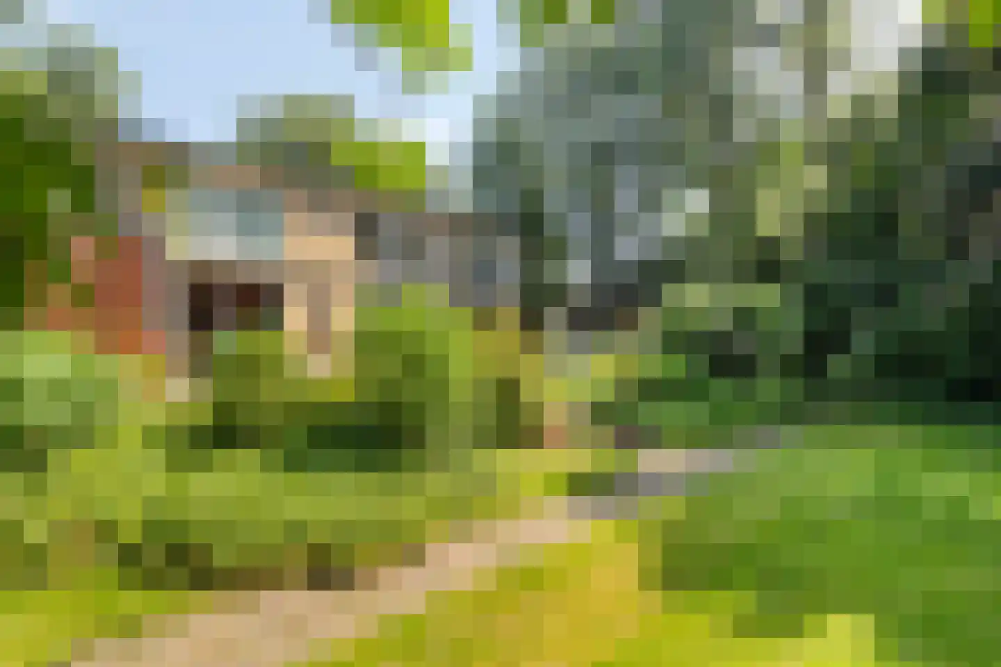 Kwadijk 45 Kwadijk thumbnail 51