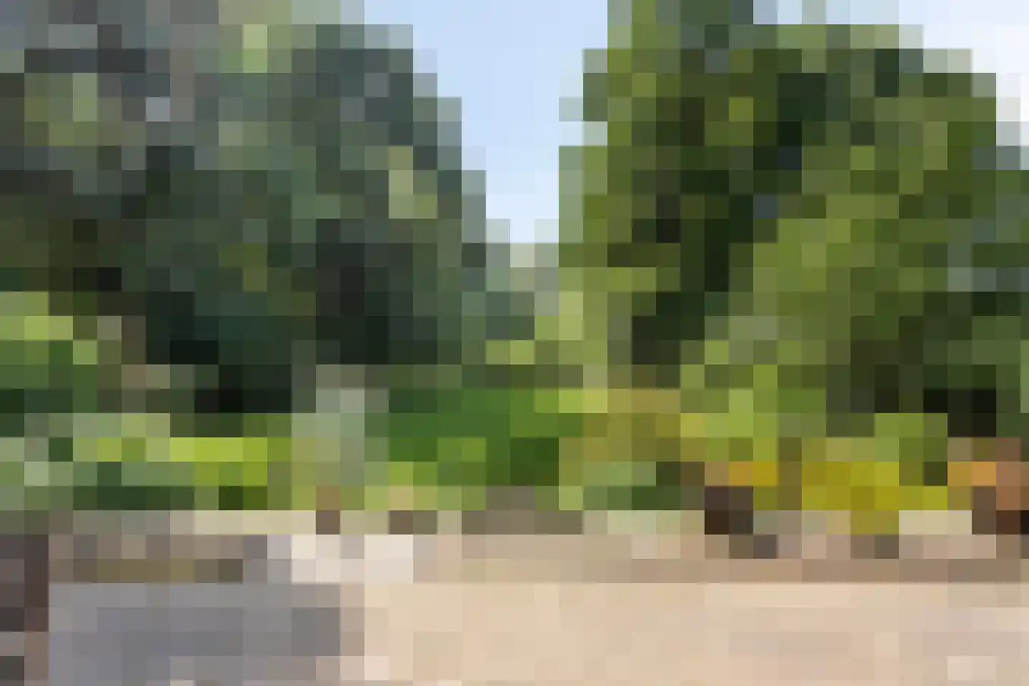 Kwadijk 45 Kwadijk thumbnail 56